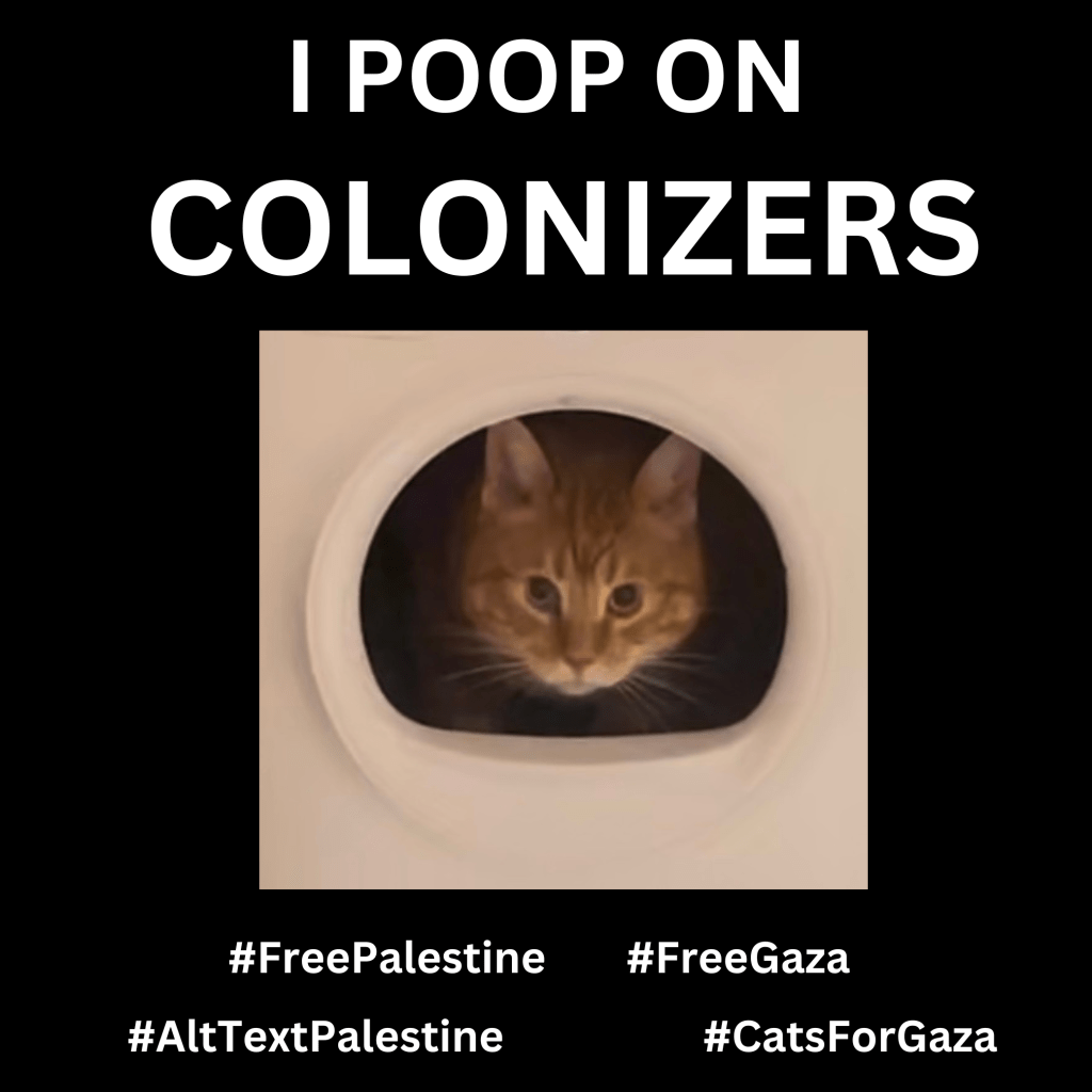 Graphic with a black background with a photo of Ernie, an orange cat peering out of a white litter box with a haunting expression. Large text in white reads, I POOP ON COLONIZERS. Below are hashtags: #FreePalestine #FreeGaza #AltTextPalestine #CatsForGaza