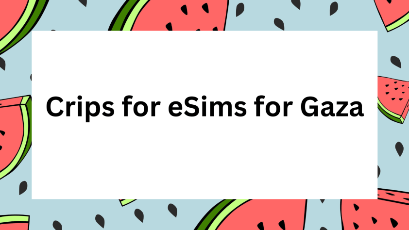 Illustration with a light blue background featuring pieces of watermelon cut into triangular shapes and watermelon seeds.In the center against a white square background text reads, Crips for eSims for Gaza.